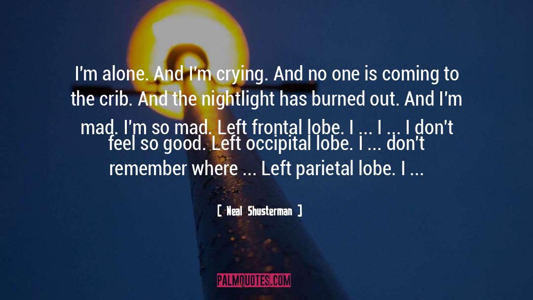 Burned Out quotes by Neal Shusterman