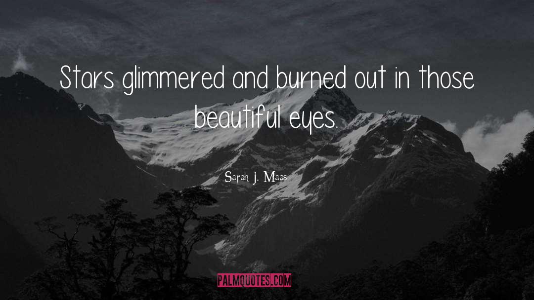 Burned Out quotes by Sarah J. Maas