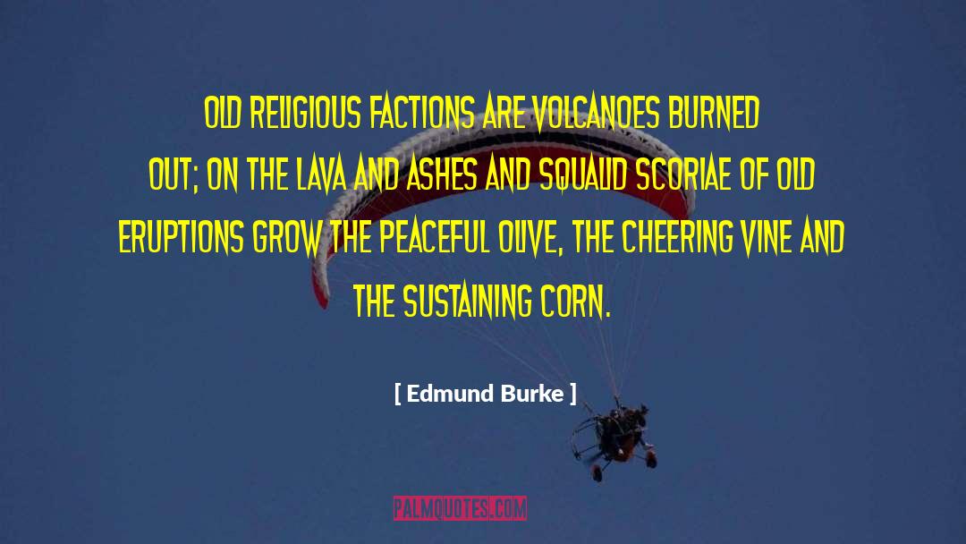 Burned Out quotes by Edmund Burke