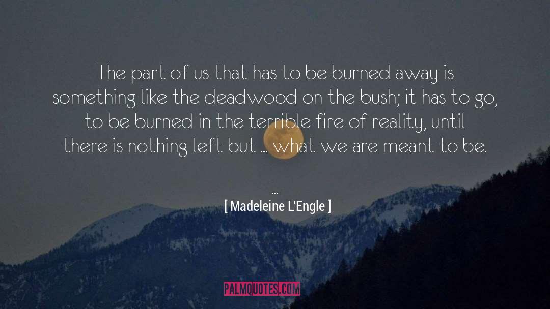 Burned quotes by Madeleine L'Engle