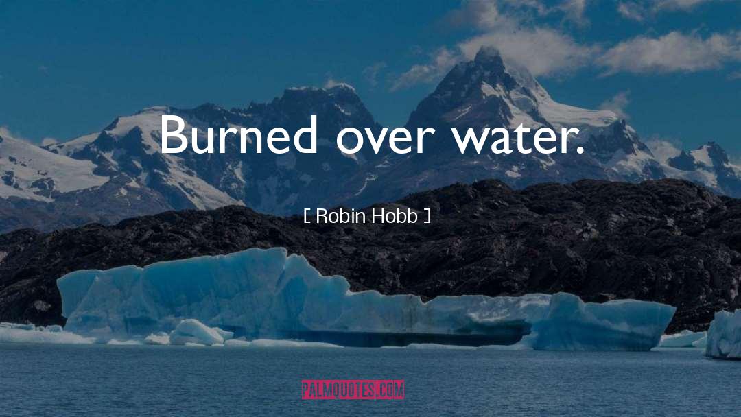 Burned quotes by Robin Hobb