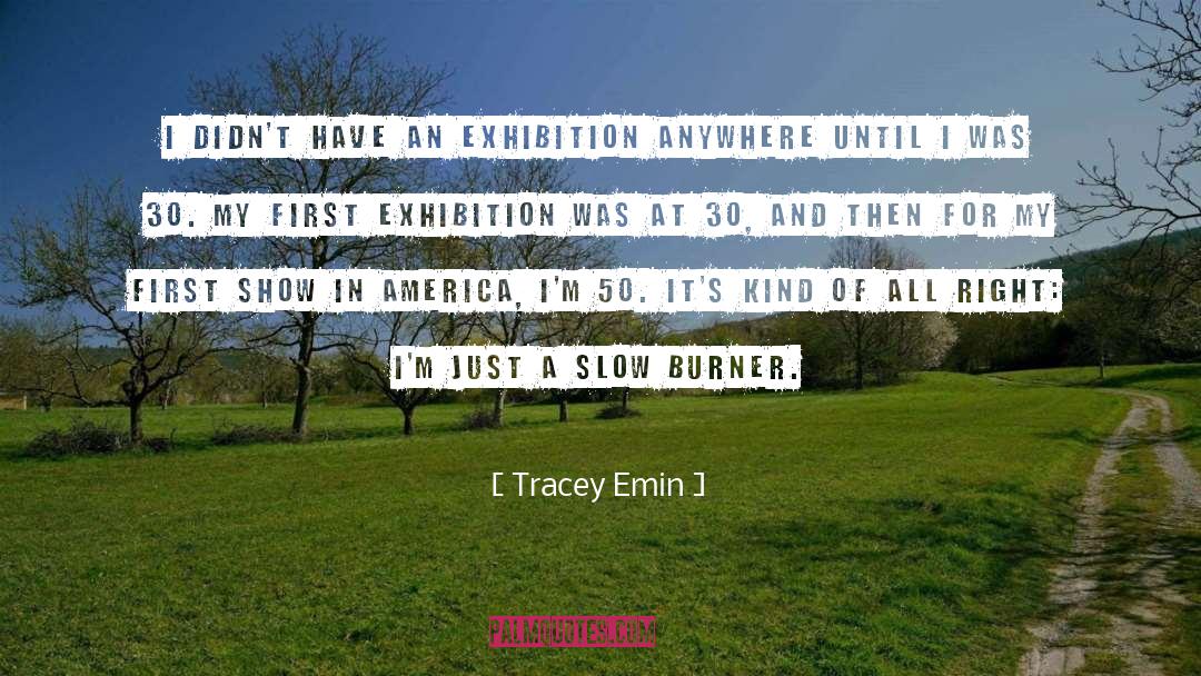 Burner quotes by Tracey Emin