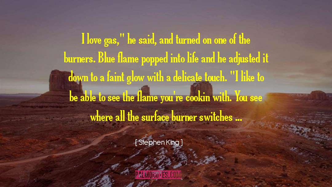 Burner quotes by Stephen King