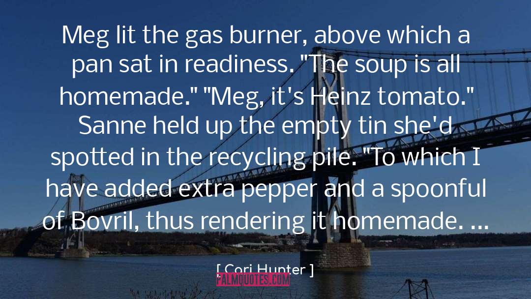 Burner quotes by Cari Hunter