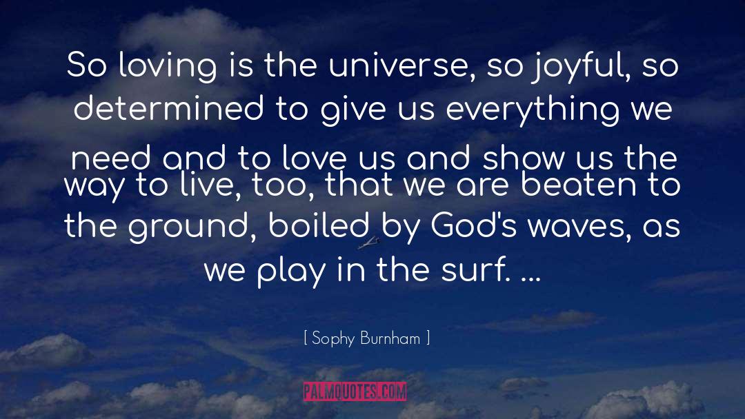 Burnham quotes by Sophy Burnham