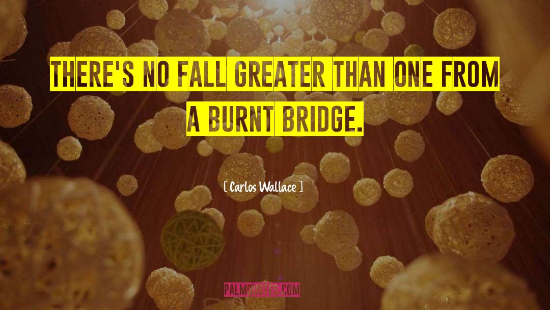 Burning Bridges quotes by Carlos Wallace