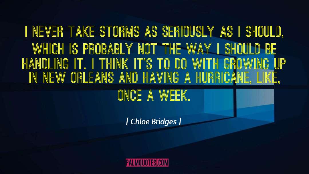 Burning Bridges quotes by Chloe Bridges