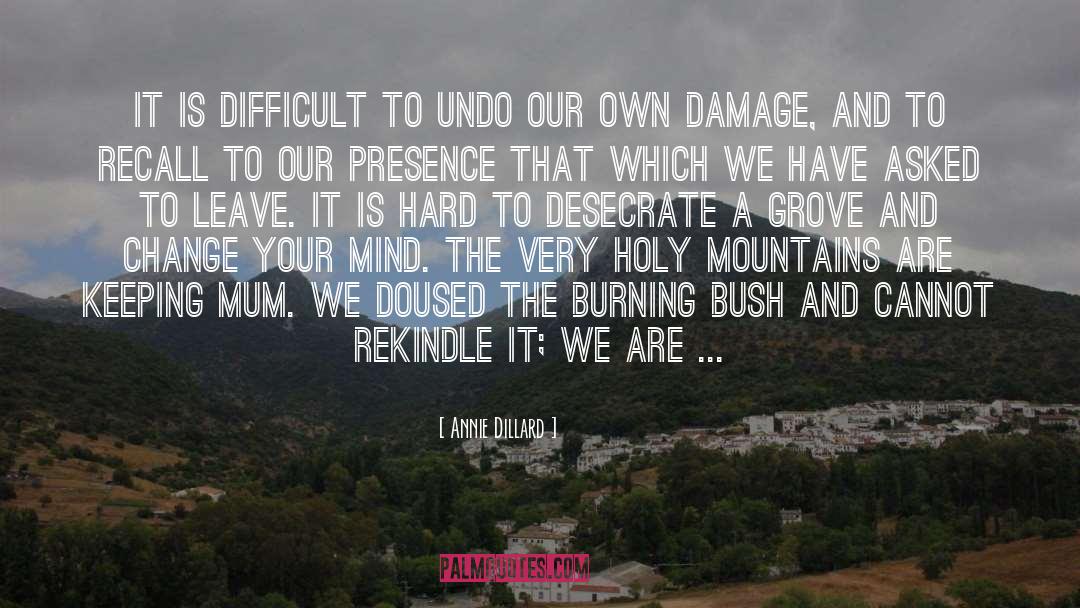 Burning Bush quotes by Annie Dillard