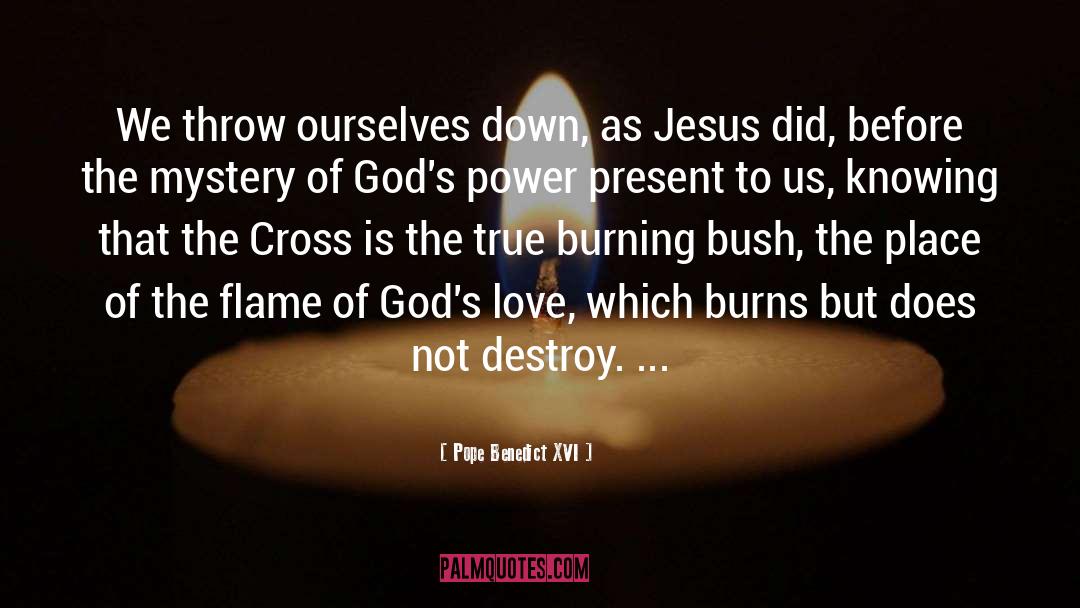 Burning Bush quotes by Pope Benedict XVI
