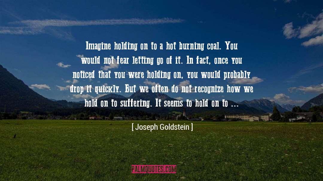 Burning Coal quotes by Joseph Goldstein