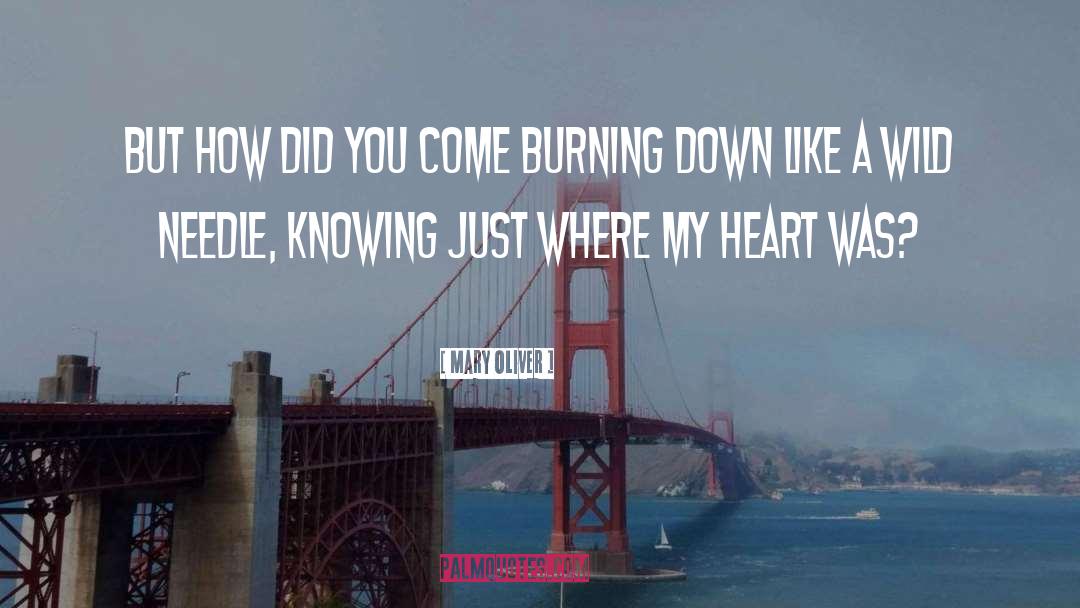 Burning Down quotes by Mary Oliver