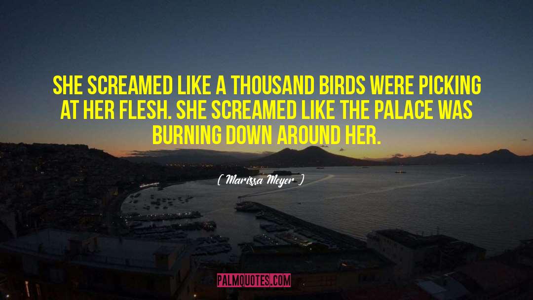 Burning Down quotes by Marissa Meyer