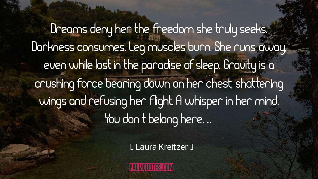 Burning Falls quotes by Laura Kreitzer