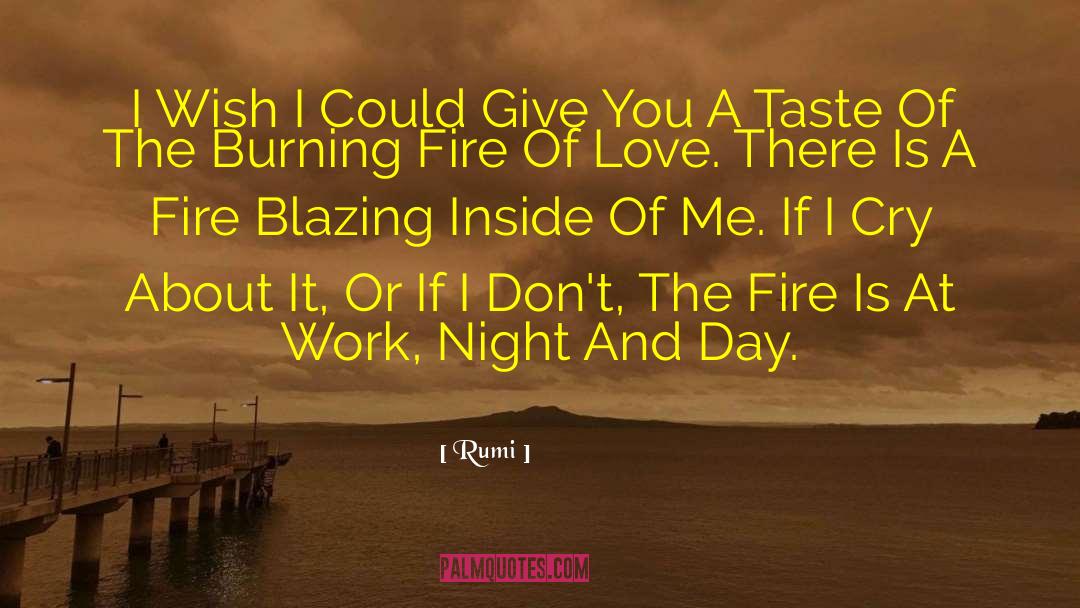 Burning Fire quotes by Rumi
