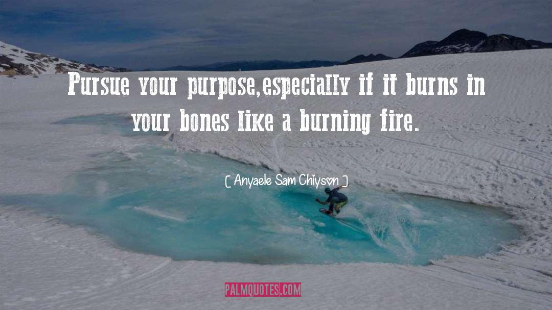 Burning Fire quotes by Anyaele Sam Chiyson