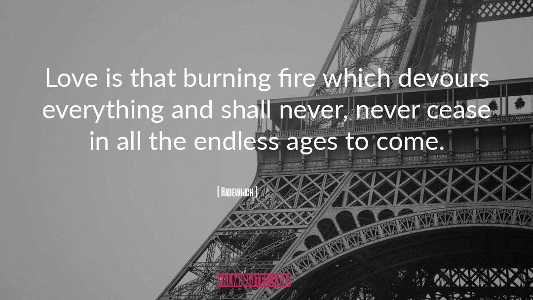 Burning Fire quotes by Hadewijch
