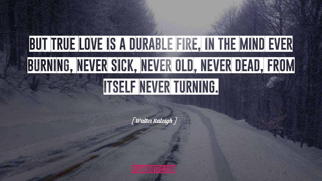 Burning Fire quotes by Walter Raleigh