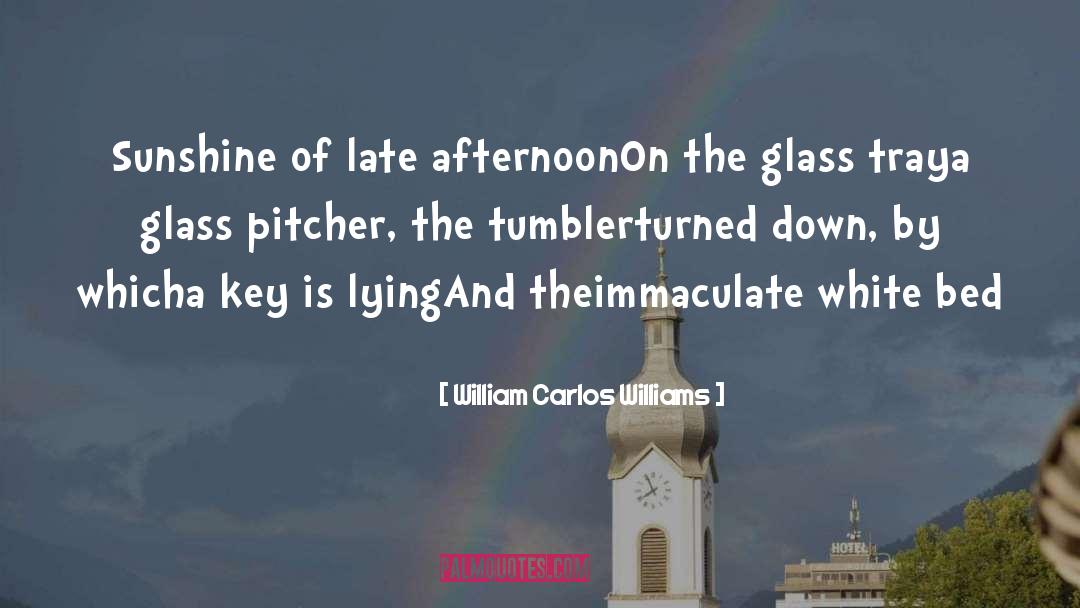 Burning Glass quotes by William Carlos Williams