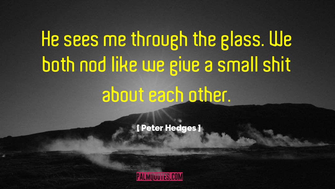 Burning Glass quotes by Peter Hedges