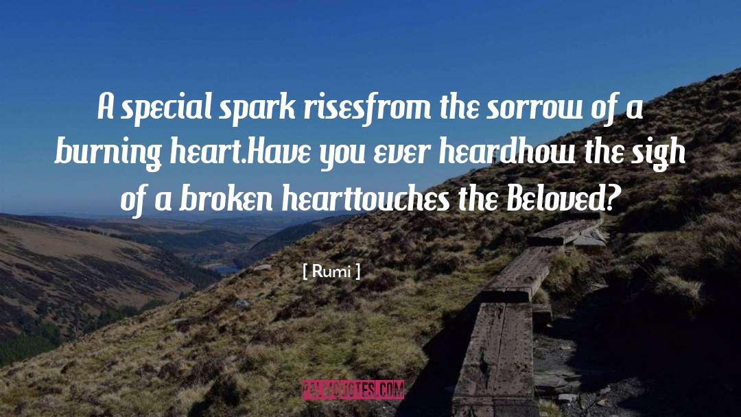 Burning Heart quotes by Rumi