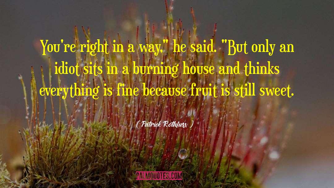 Burning House quotes by Patrick Rothfuss