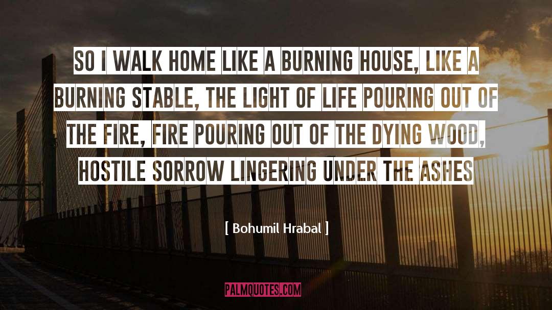 Burning House quotes by Bohumil Hrabal