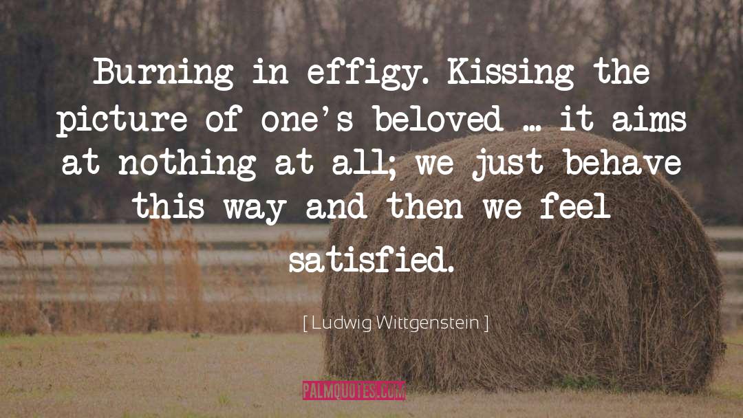 Burning In The Skies quotes by Ludwig Wittgenstein