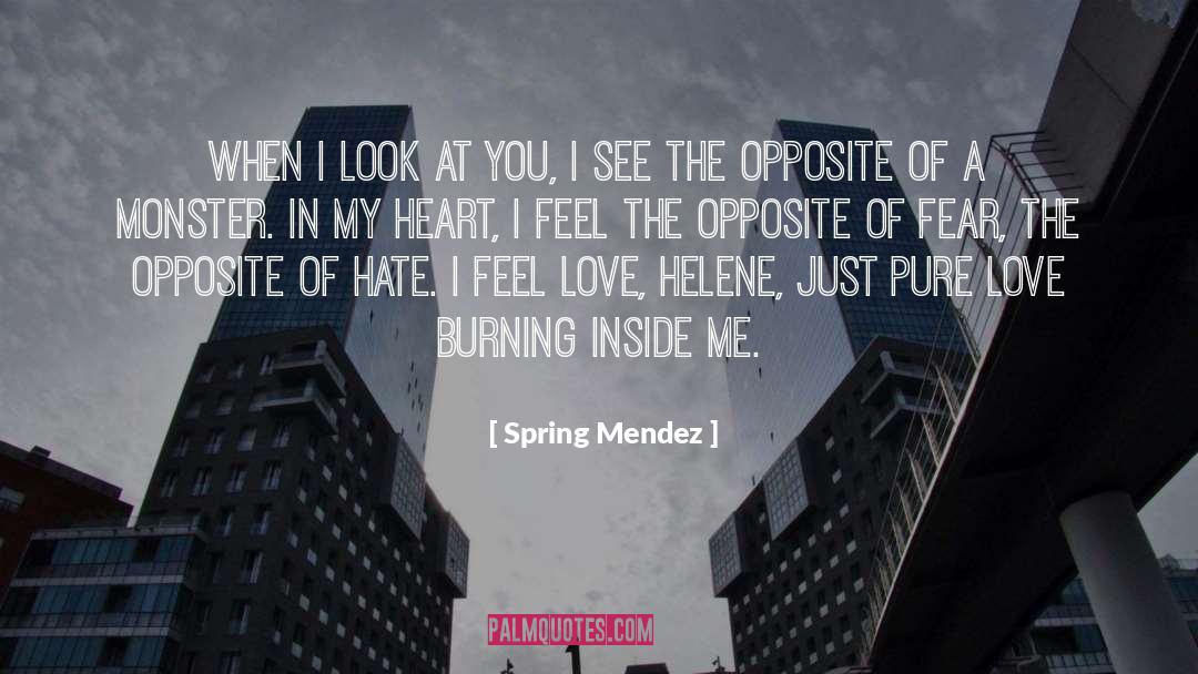 Burning Inside quotes by Spring Mendez