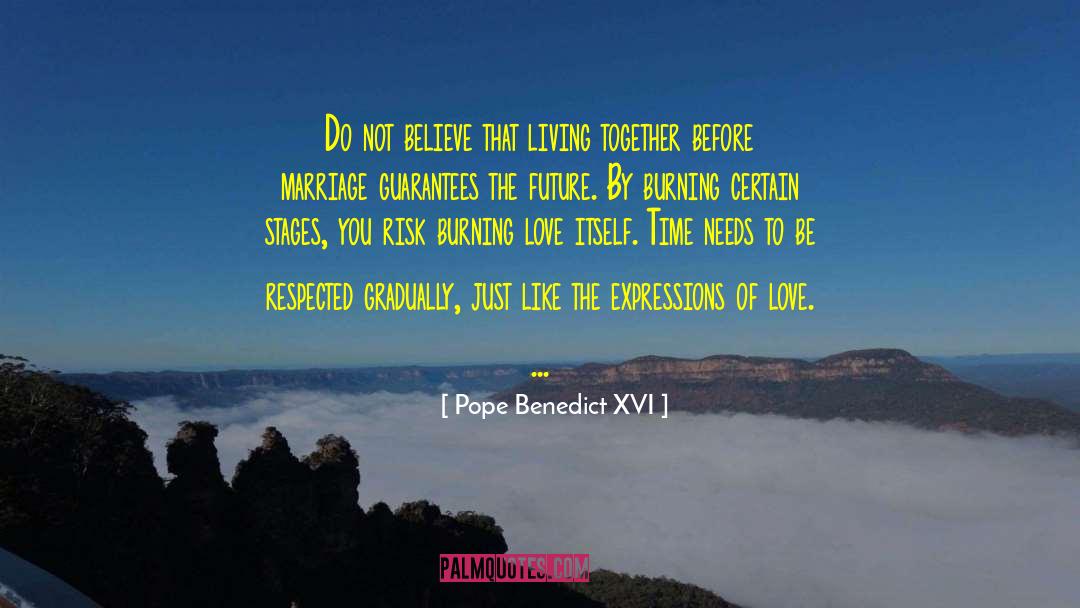 Burning Love quotes by Pope Benedict XVI