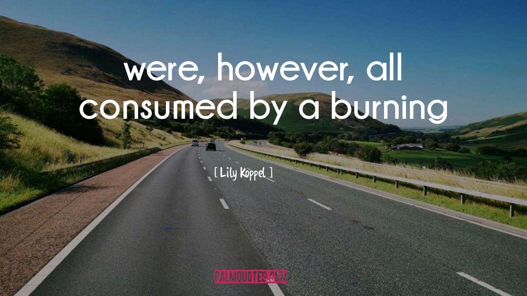 Burning quotes by Lily Koppel