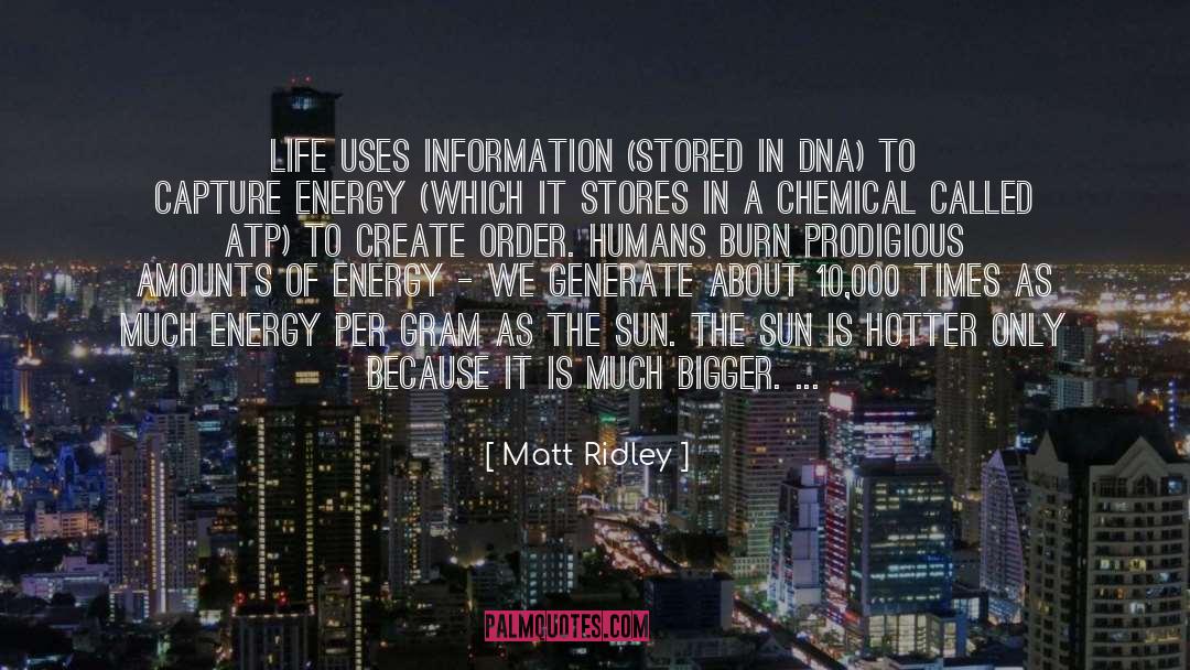 Burning quotes by Matt Ridley