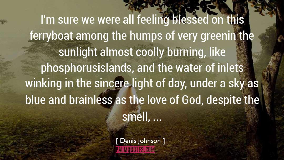 Burning quotes by Denis Johnson