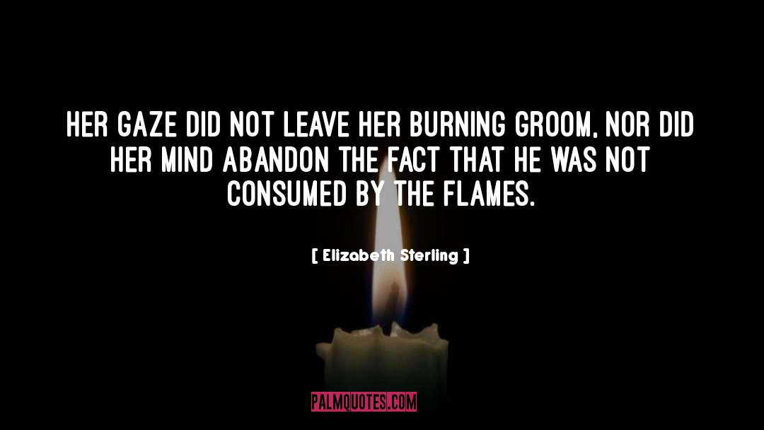 Burning quotes by Elizabeth Sterling