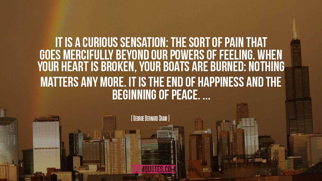 Burning Your Boats quotes by George Bernard Shaw