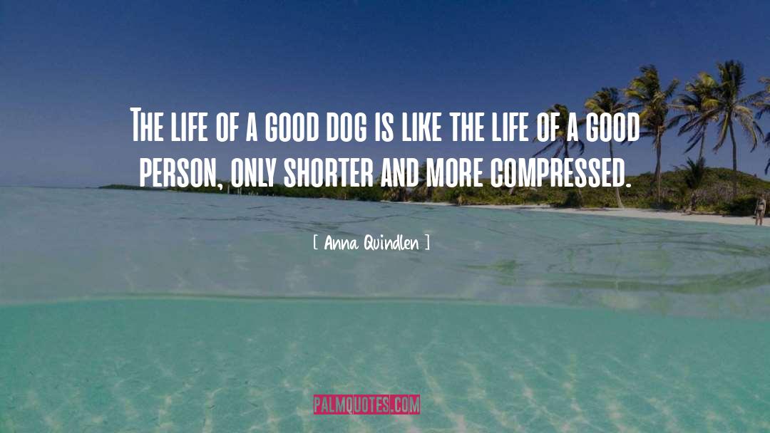 Burr The Dog quotes by Anna Quindlen