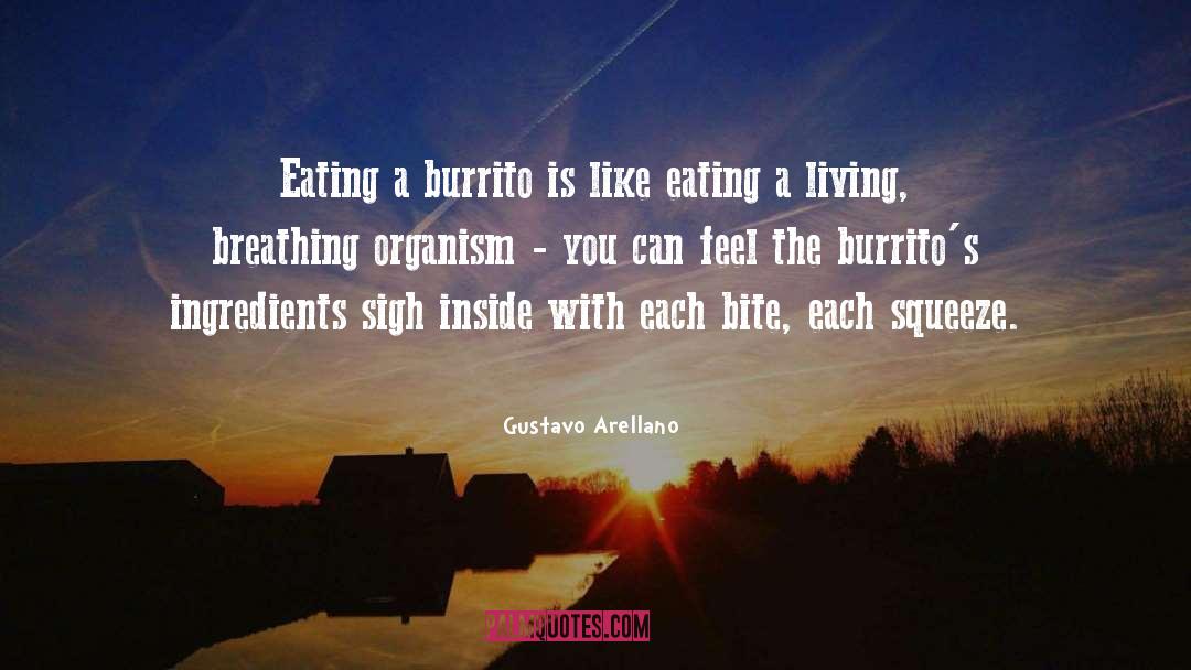 Burrito quotes by Gustavo Arellano