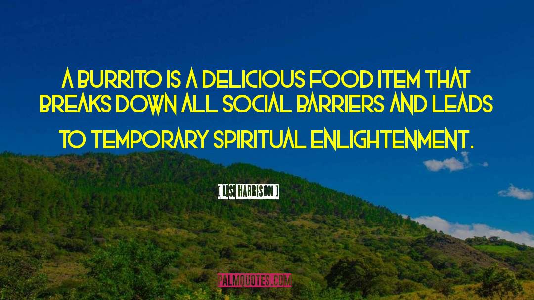 Burrito quotes by Lisi Harrison