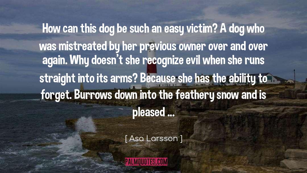 Burrows quotes by Asa Larsson