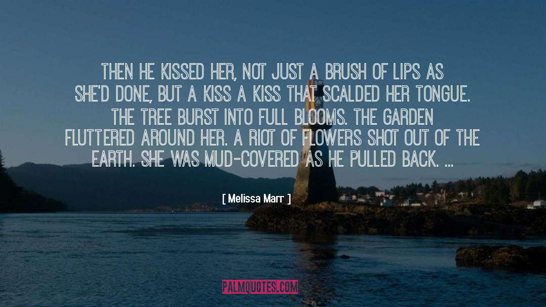 Burst quotes by Melissa Marr