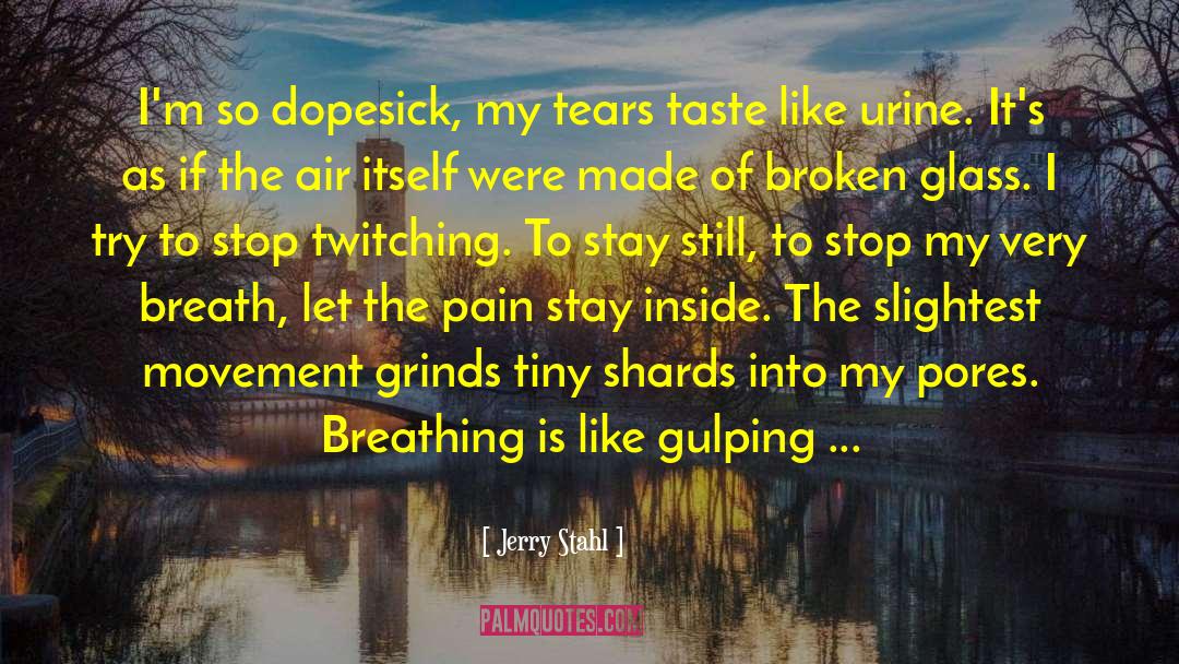 Bursting Into Tears quotes by Jerry Stahl