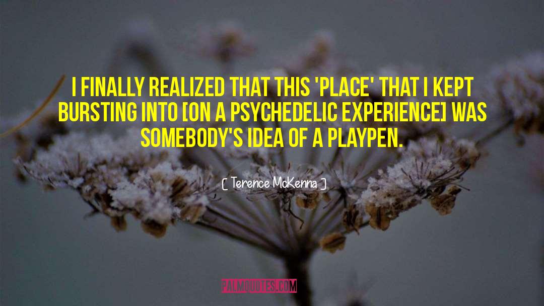 Bursting quotes by Terence McKenna
