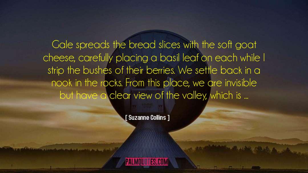 Bursting quotes by Suzanne Collins