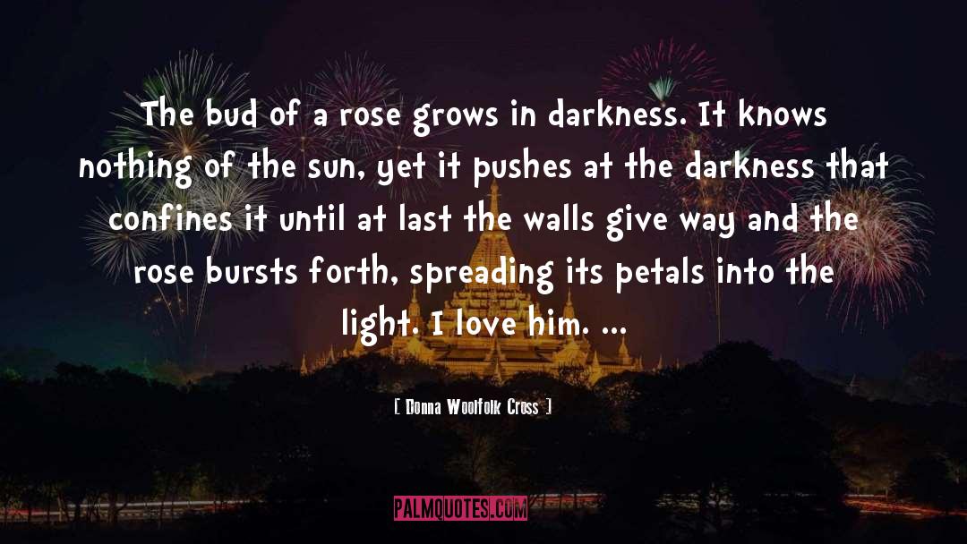 Bursts quotes by Donna Woolfolk Cross