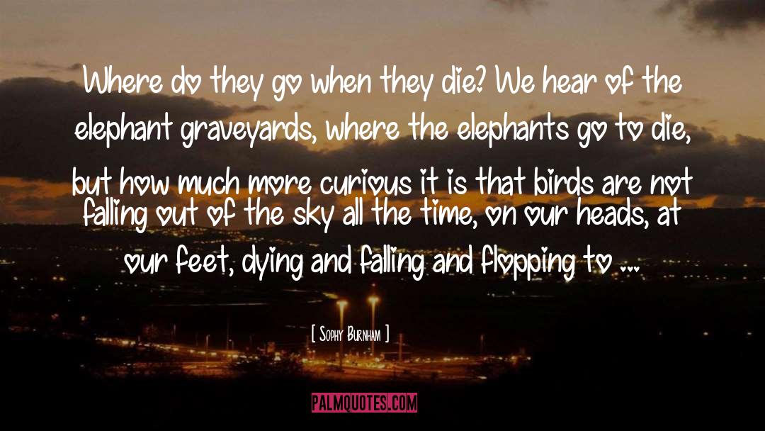 Bury Our Dead quotes by Sophy Burnham