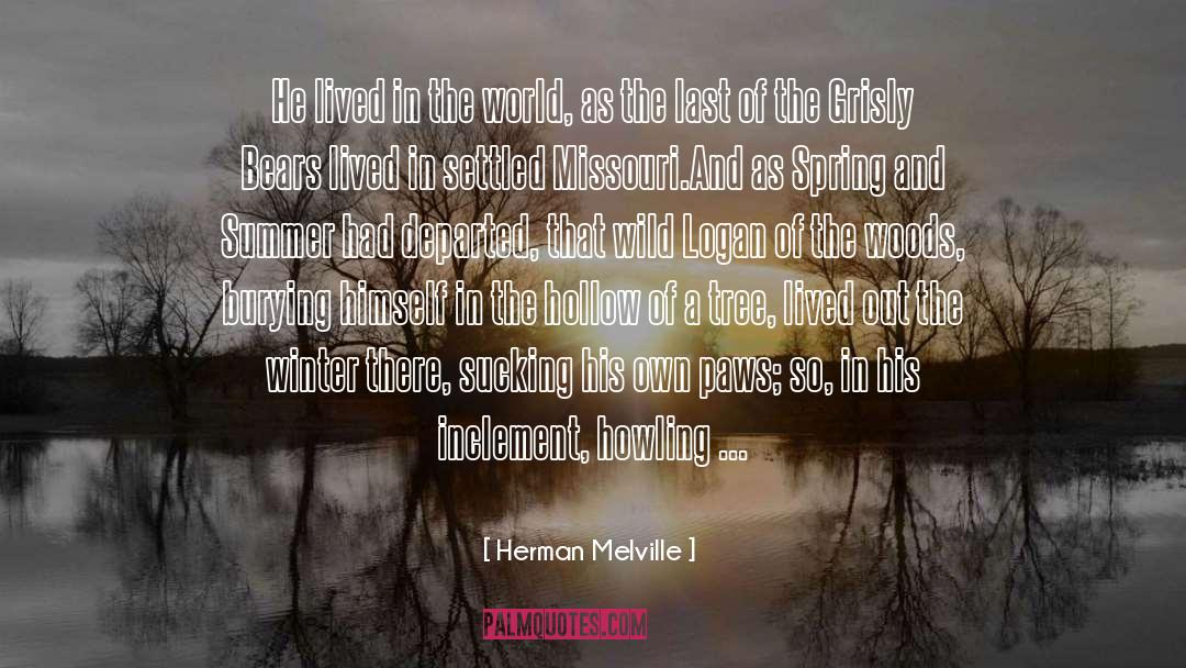 Burying quotes by Herman Melville