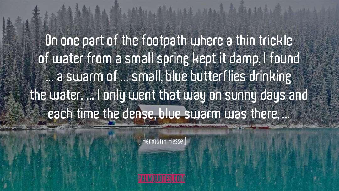 Burying Water quotes by Hermann Hesse