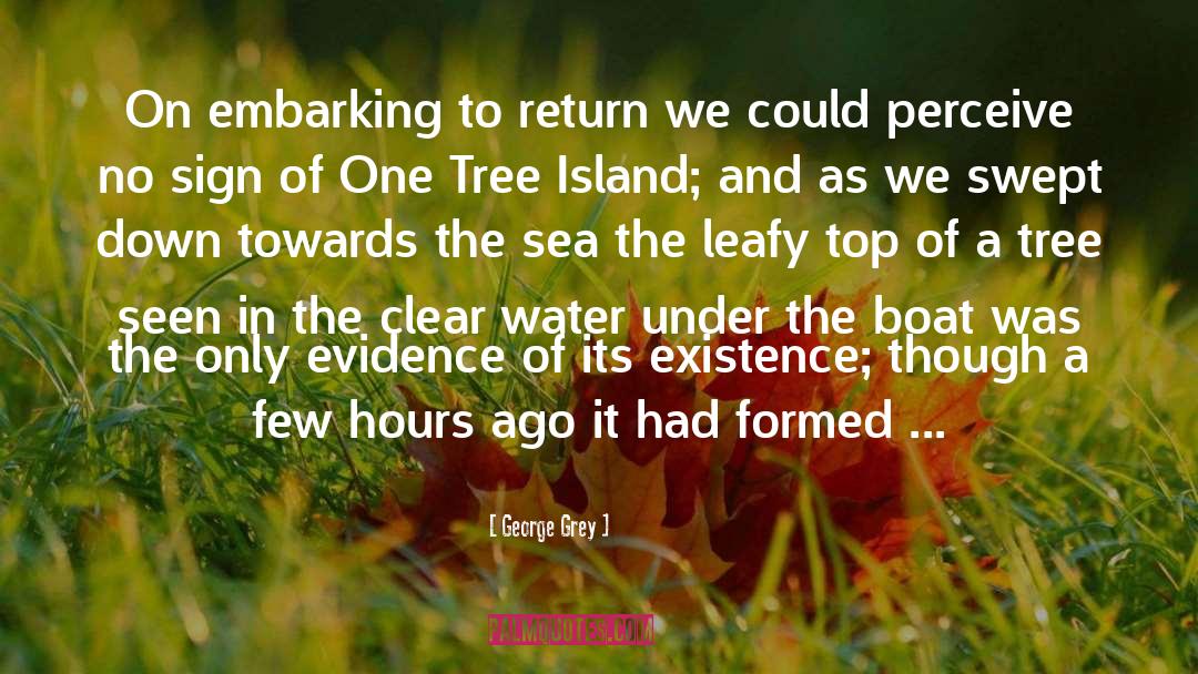 Burying Water quotes by George Grey