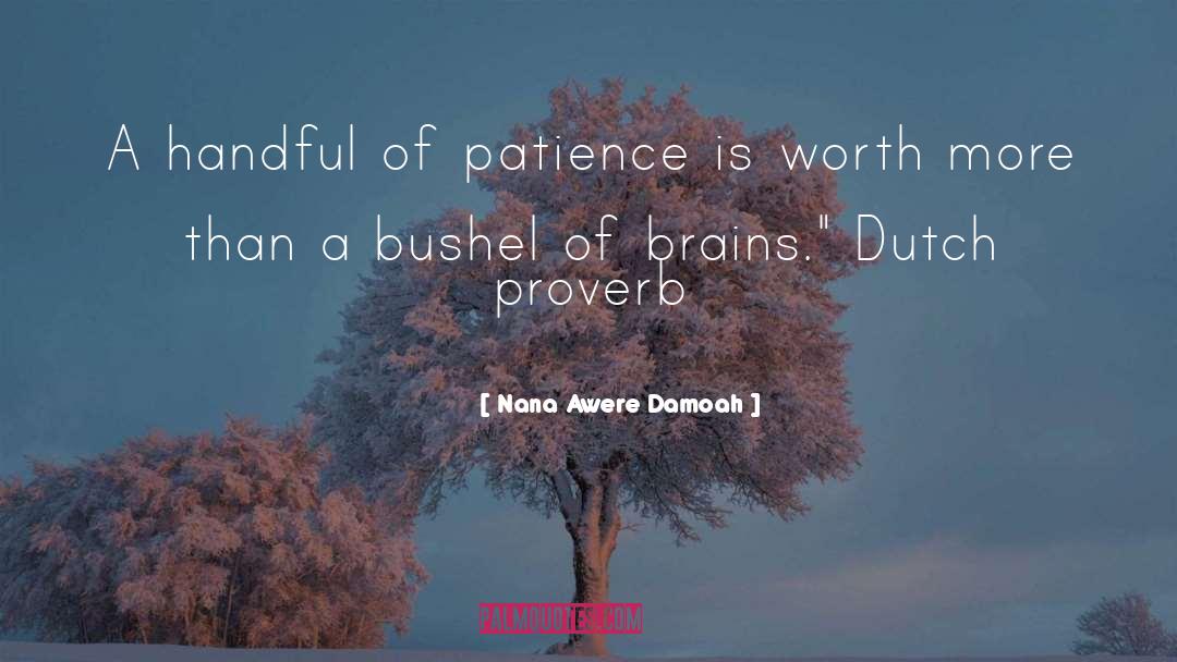 Bushel quotes by Nana Awere Damoah