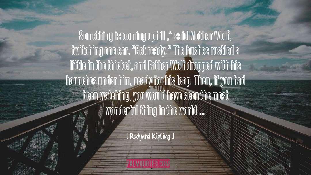 Bushes quotes by Rudyard Kipling