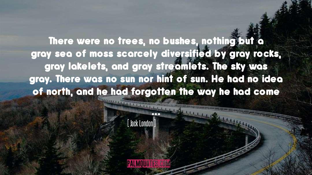 Bushes quotes by Jack London